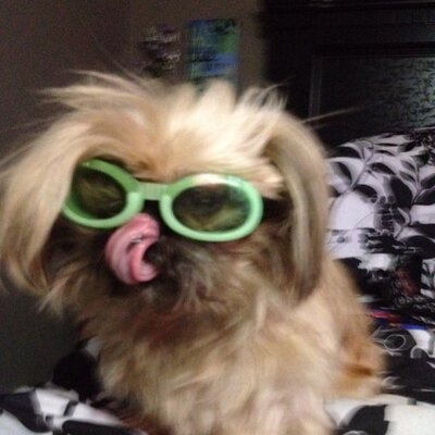 Profile Picture of Toby Chapman (@teabags11) on Twitter