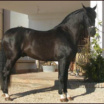 Profile Picture of Albert Velez (@AlbertVelez3) on Twitter