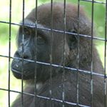 Profile Picture of john (@bogieb69) on Instagram