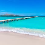 Profile Picture of Paul Callinan (@Paul-Callinan) on Facebook