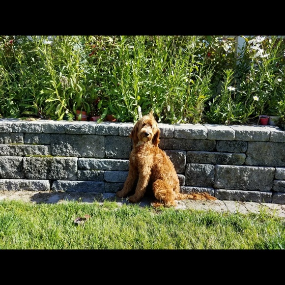 Kylee Segraves - Poshmark Profile Picture of Kylee Segraves (@ksegraves93) on Poshmark