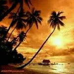 Profile Picture of Hadeer Mohsin (@mohsinhadeer) on Instagram