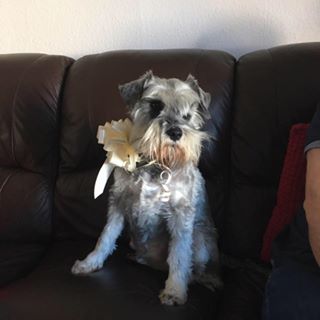 Profile Picture of Colin Singer (@Colin-Singer) on Facebook