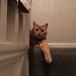 Profile Picture of David Crocker (@david_john_crocker) on Instagram