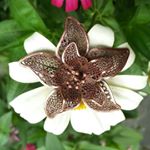 Profile Picture of Yolanda Silver (@yolanda_silver_) on Instagram