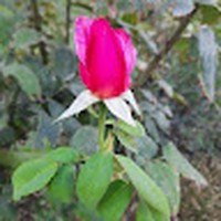 Profile Picture of Peter Eagle (@peter-eagle-12) on Quora