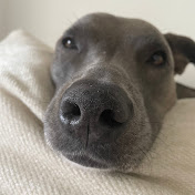 Profile Picture of Cassidy Hayes (@cassidyhayes7061) on Youtube