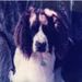Profile Picture of Joseph DiMercurio (@josephdimercurio) on Pinterest