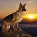 Profile Picture of Harry Schaefer (@harry3217) on Pinterest