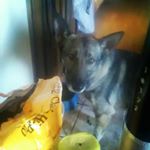 Profile Picture of tyler (@24ashton.kelm) on Instagram