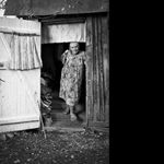 Profile Picture of noraharper (@noraharper) on Instagram