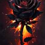 Profile Picture of Mary Cordova (@Mary-Cordova) on Facebook