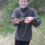 Profile Picture of Robert bowen (@robert._.bowen) on Instagram