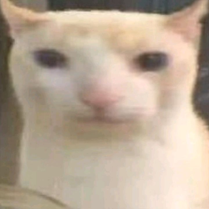 Profile Picture of Michael Wiebe (@m1ch1wo) on Tiktok