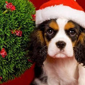 Profile Picture of Lydia Wright (@lydiawright300) on Youtube