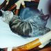 Profile Picture of Astrid Frieda Else Oehmsen (@Astrid-Frieda-Else-Oehmsen) on Facebook