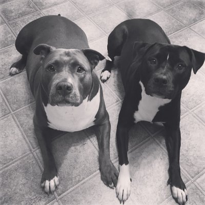 Patrick Congdon - Twitter Profile Picture of Patrick Congdon (@Pat_C65) on Twitter