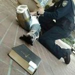 Profile Picture of Adan Acevedo Jr (@struggling_crusader) on Instagram