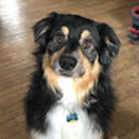 Profile Picture of Isabel Sullivan (@isabel-sullivan-25) on Quora