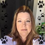 Profile Photo of Sylvia Connor (@auntysly4449) on Instagram