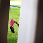 Profile Picture of Kim Masterson Garbison (@kimgarbi99) on Instagram