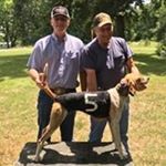 Profile Picture of Toby Williamson (@toby.williamson.90) on Instagram