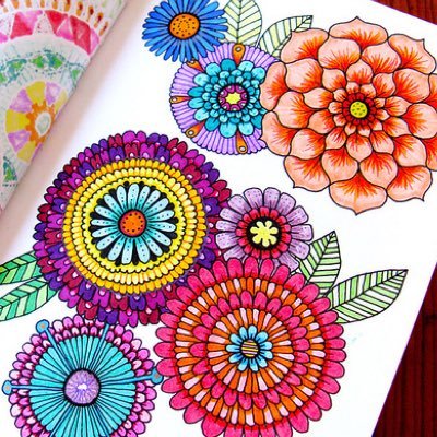 Andrea Ares - Twitter Profile Picture of Andrea Ares (@andyares5) on Twitter