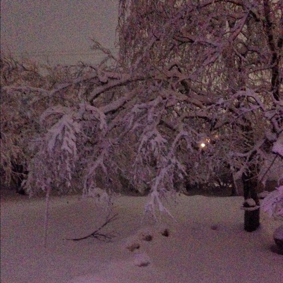 Profile Picture of Anne Mandarino (@anne32) on Poshmark