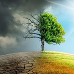 Profile Picture of Wesley Steele (@climatechangemattersss) on Instagram