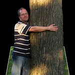 Profile Picture of David Mead (@dbear2011) on Flickr