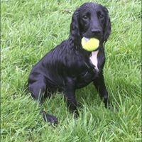 Profile Picture of Harry Hicks (@harry-hicks-5) on Quora