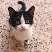 Amawi Guitar - Youtube Profile Picture of Amawi Guitar (@amawiguitar) on Youtube