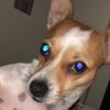 Profile Picture of Mitchell Bradley (@@mitchellbradley63) on Tiktok