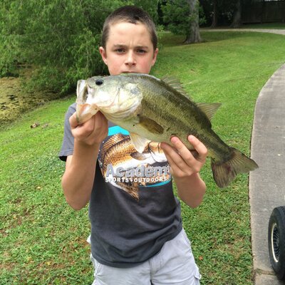 Profile Picture of Ray Darden (@Raydarden1) on Twitter