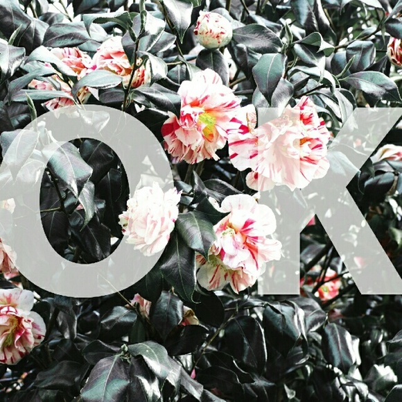 Profile Picture of Cindy Wu (@cindy7737) on Poshmark