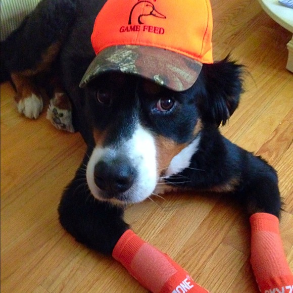 Profile Picture of Gretchen Wasner (@gwasner) on Poshmark