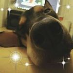 Profile Picture of Anita Chew (@anitachew1123) on Instagram