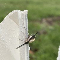 Profile Picture of Ed Garrett  (@ed-garrett-18) on Quora