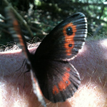 Profile Picture of Balades & Randonnées (@balades et randonnées) on Flickr