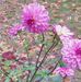 Profile Picture of Darlene Tuttle (@darlene.tuttle.16) on Facebook