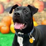 Profile Picture of Miles Eli (@miles.eli_) on Instagram