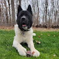 Laura Digiorgio - Quora Profile Picture of Laura Digiorgio (@laura-digiorgio-1) on Quora