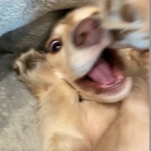 Profile Picture of Michael Zapler (@michael.zapler) on Tiktok