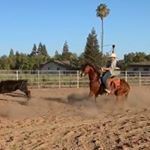 Profile Picture of Mason Hicks (@masonhicks_232) on Instagram