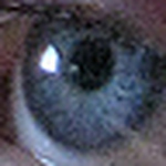 Profile Picture of send2rolo (@send2rolo) on Flickr