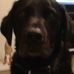 Profile Picture of Sharon Prior (@sharon.prior.9849) on Facebook