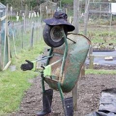 Profile Picture of JimskySon (@jamespadsing1) on Tiktok