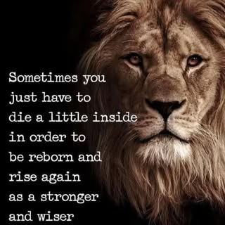 Profile Picture of Wende Thompson (@wende3141) on Instagram