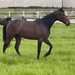 Profile Picture of Lise Ødegaard (@liseodeg) on Facebook