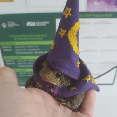 Profile Picture of Ramon Alvarez (@yuungpeso) on Twitter